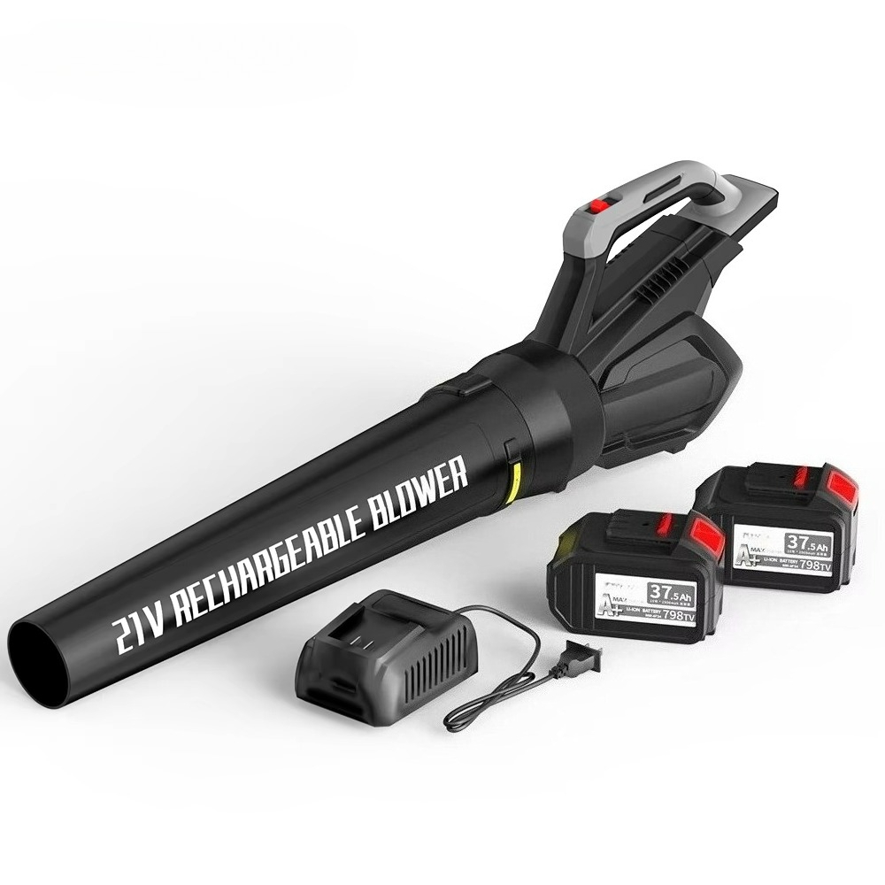 배터리 및 충전기가 포함된 무선 송풍기 20V 휴대용  - Car Vacuum 리뷰 및 가격